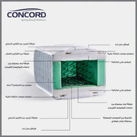 Concord مرتبة